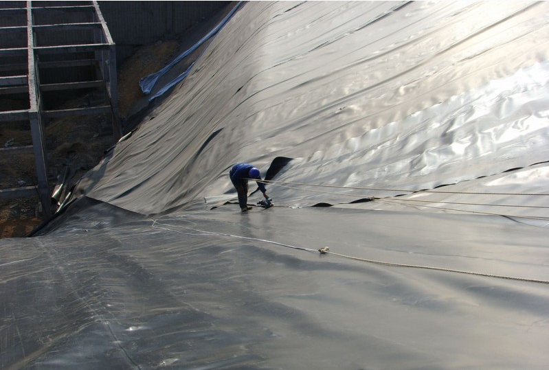 1639012467116512.png 1000.png