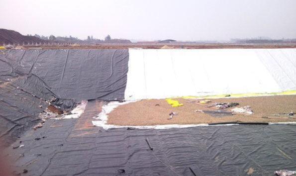 1640652652203513.jpg QQ截圖20211228085005.jpg